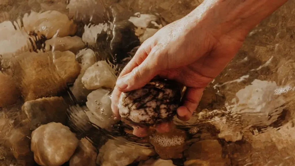 Hand releasing a stone in shallow water, symbolizing how to let go of anger and resentment